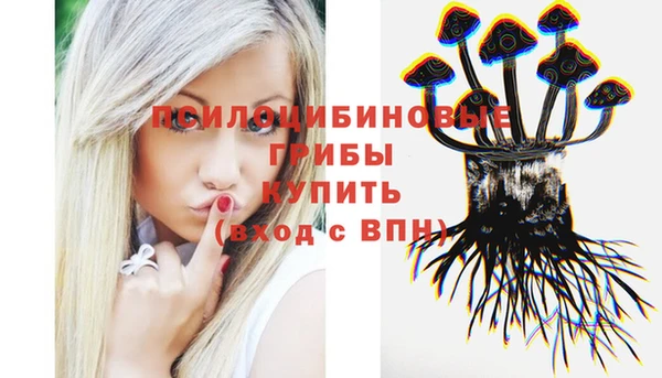ПСИЛОЦИБИНОВЫЕ ГРИБЫ Армянск