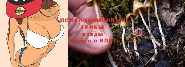 дживик Арсеньев