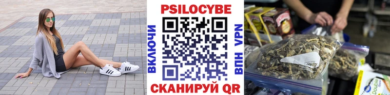 Галлюциногенные грибы GOLDEN TEACHER  где купить наркотик  Гаврилов-Ям 